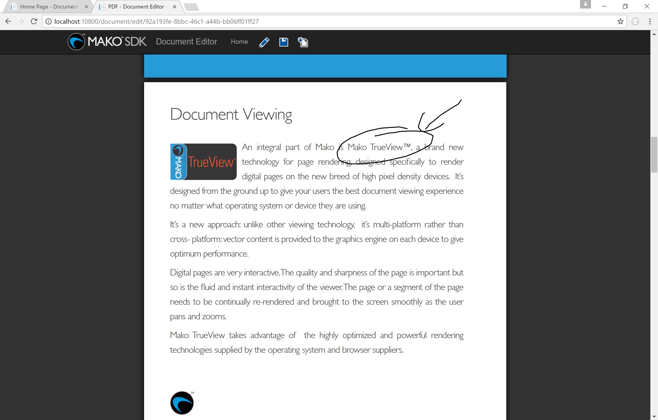 Adding ink to the document
